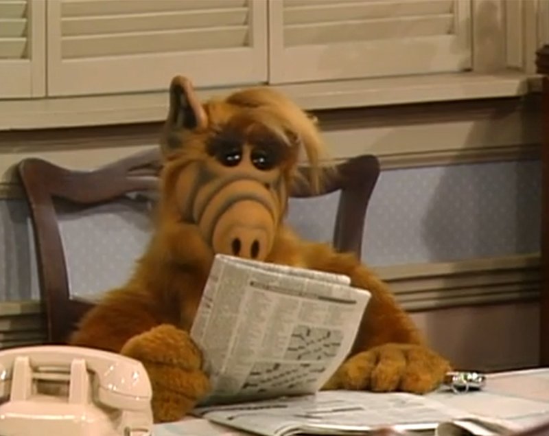 Image à la une de Alf : l'extraterrestre mangeur de chats s'offre un reboot
