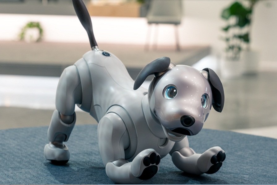Image 1 : Ce chien robot a appris à se relever après une chute