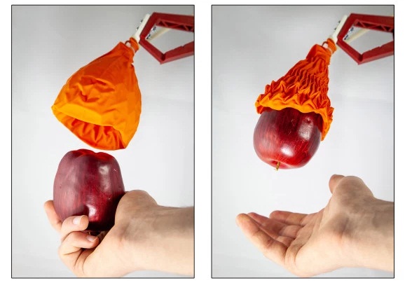 Image 1 : Ce robot agrippe des objets qui pèsent 120 fois son poids