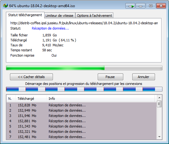 chrome idm files download