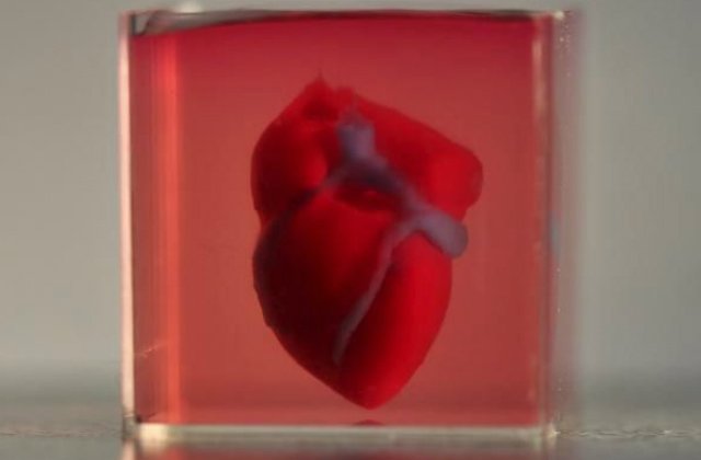 Image 1 : Ce cœur a été imprimé en 3D à partir de cellules humaines