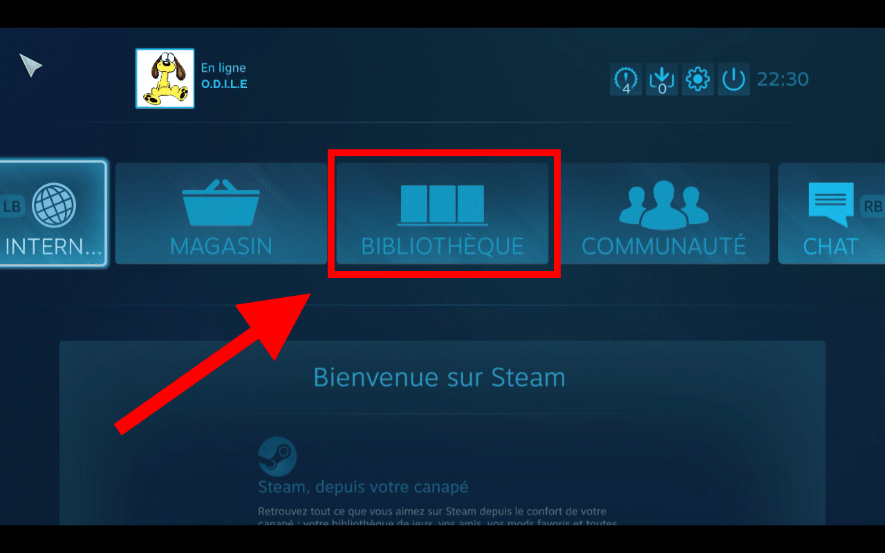 bibliothèque jeux steam android