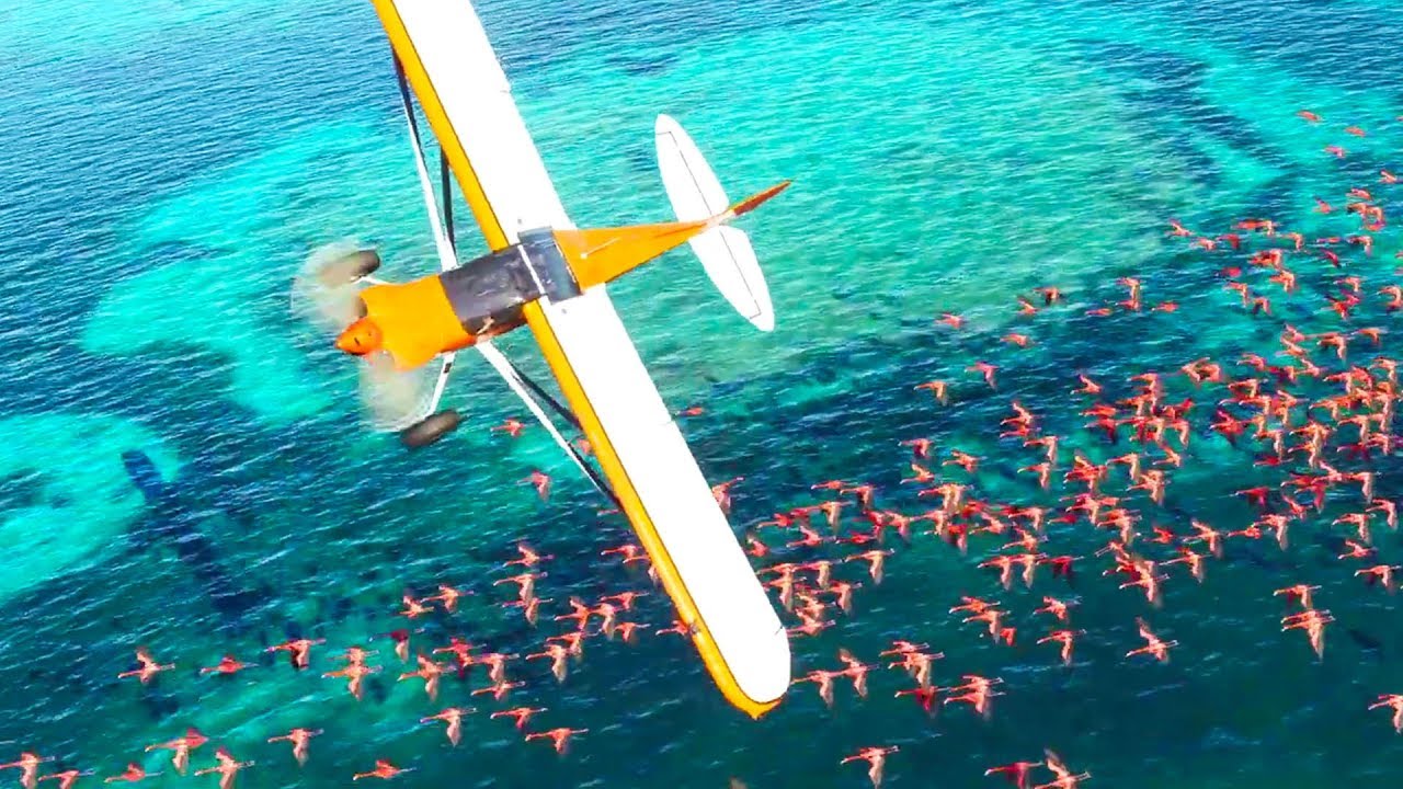 Image 1 : Microsoft dévoile son nouveau Flight Simulator
