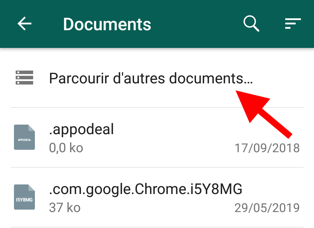 documents whatsapp