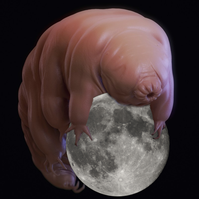 Tardigrade Lune