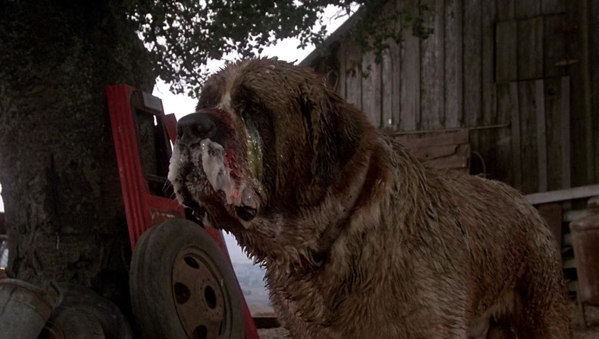 Cujo Stephen King