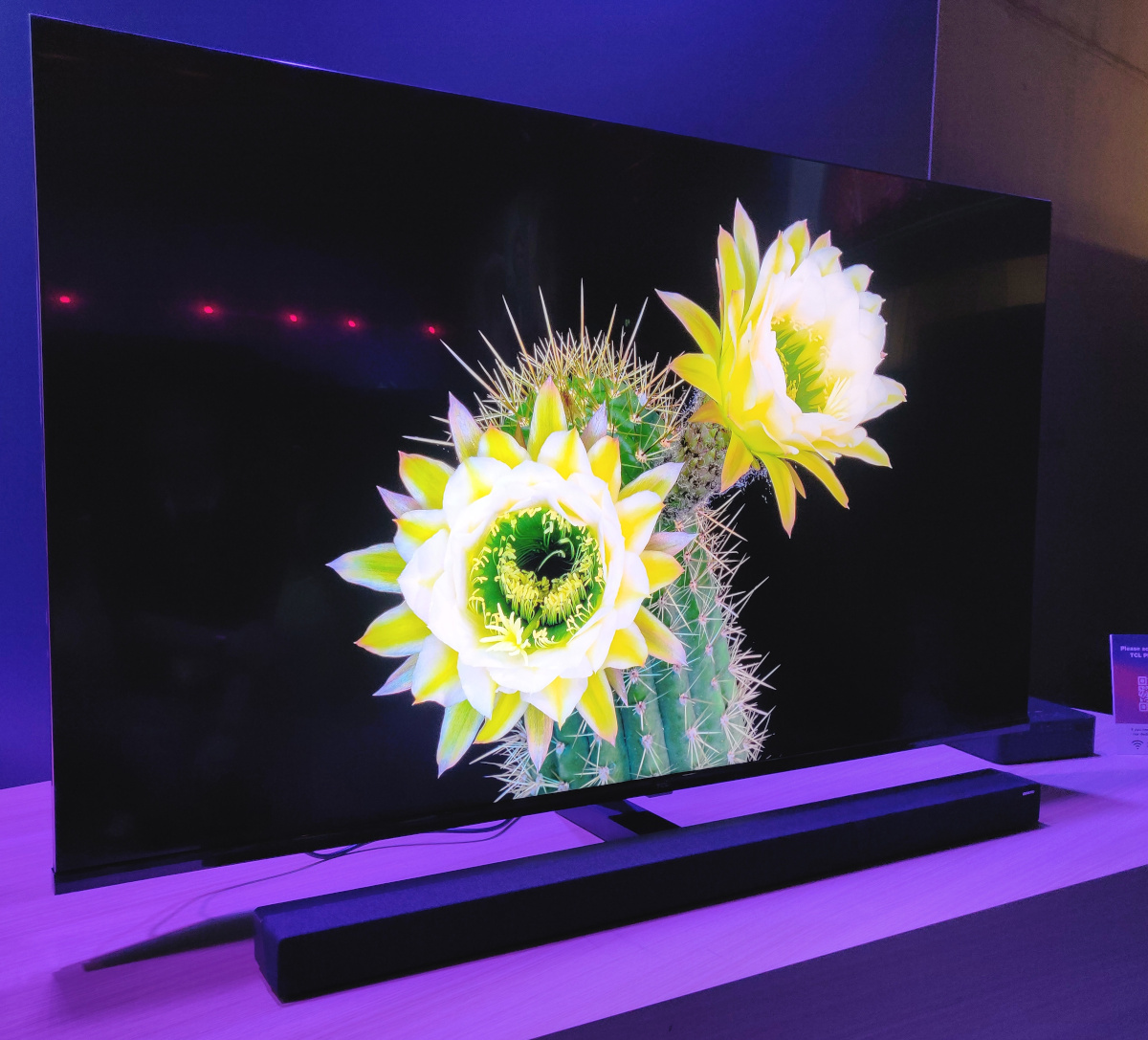 Image 4 : Plex, Ray Danz, TCL passe aux smartphones et barres de son