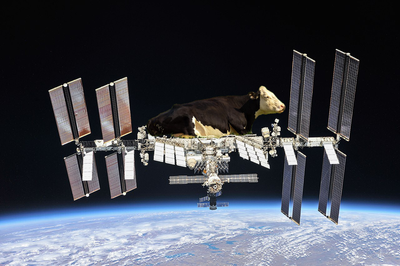 Image 1 : Des astronautes ont réussi à cultiver du bœuf dans l'espace