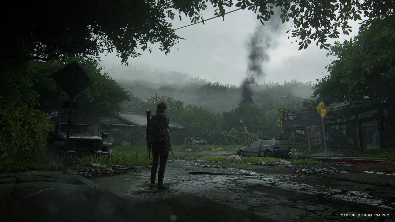 Image 1 : Last of Us 2 : sa sortie est repoussée au printemps 2020