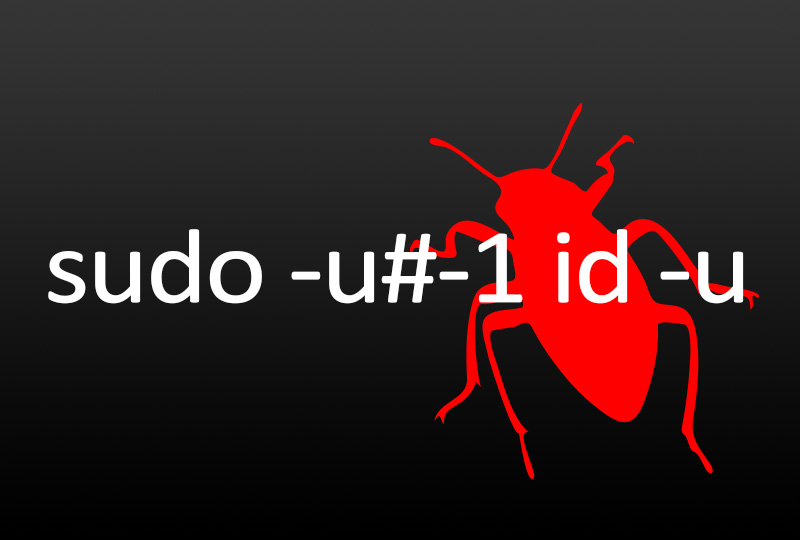 sudo bug