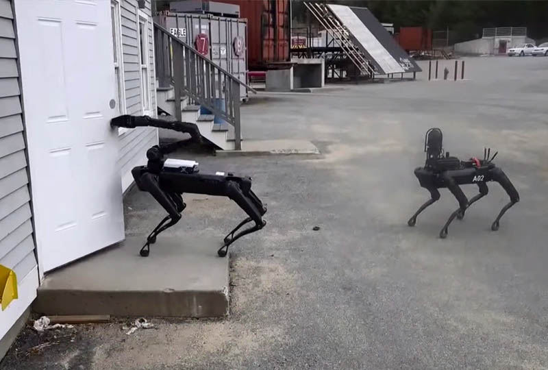 Image 1 : La police américaine a discrètement testé un robot chien