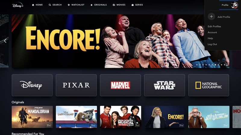 Image 1 : Disney+ tolère pour l'instant le partage de mots de passe