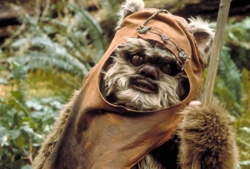 Image 1 : Star Wars : Et si les Ewoks revenaient dans L’Ascension de Skywalker ?