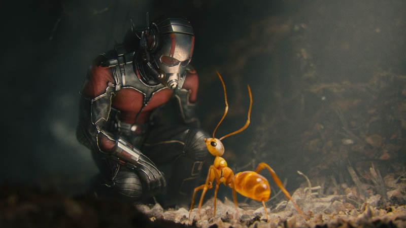 Image 1 : Ant-Man 3 pourrait bien introduire un nouveau grand vilain dans le MCU