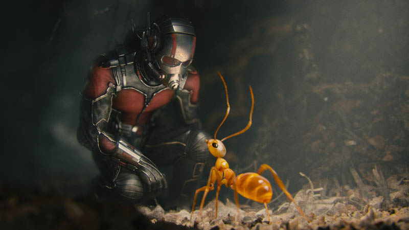 ant man 3