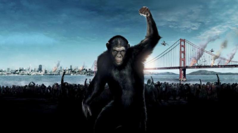 Disney prepare un nouveau remake de La Planete des Singes