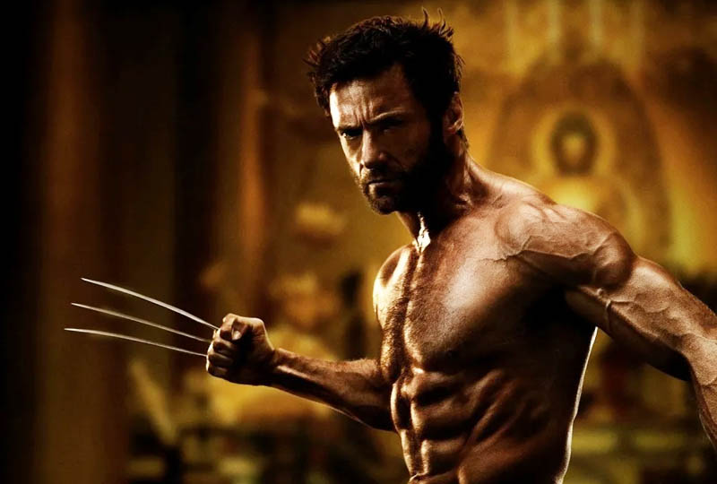 wolverine