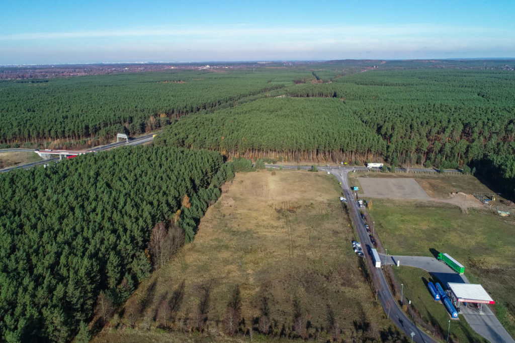 Image 1 : Pour construire la Gigafactory de Berlin, Tesla doit abattre une forêt de 300 hectares