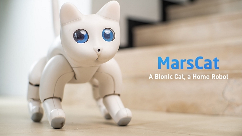 Image 1 : Voici le premier chat bionique au monde et il s'appelle MarsCat