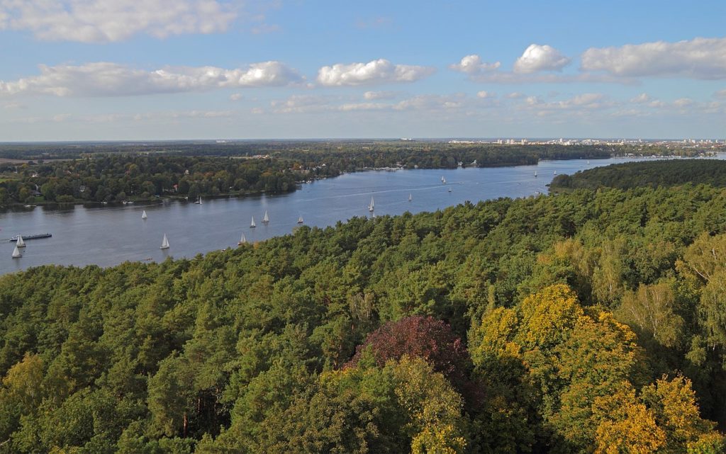 Image 1 : Usine Tesla à Berlin : la déforestation commence avec difficulté