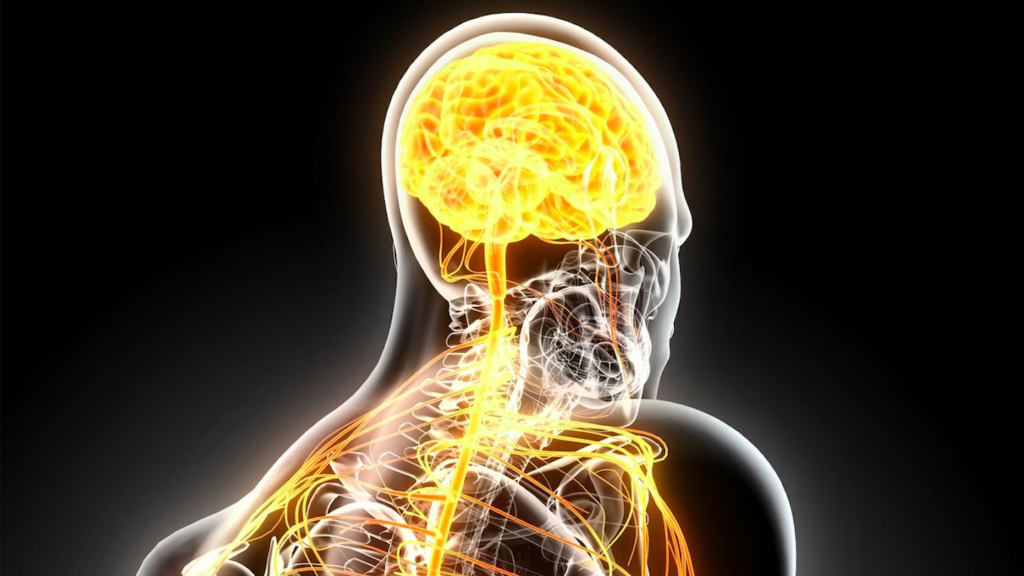 Image 1 : Cette intelligence artificielle permet de détecter des patients atteints de sclérose en plaques