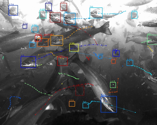 Image 2 : Google X travaille sur Tidal, un projet de protection des océans