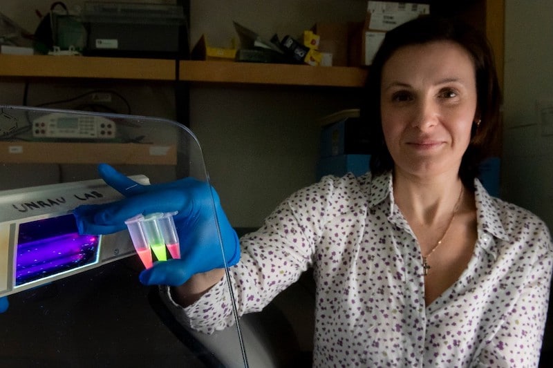Image 1 : Covid-19 : des chercheurs développent un kit fluorescent pour tester plus rapidement les populations