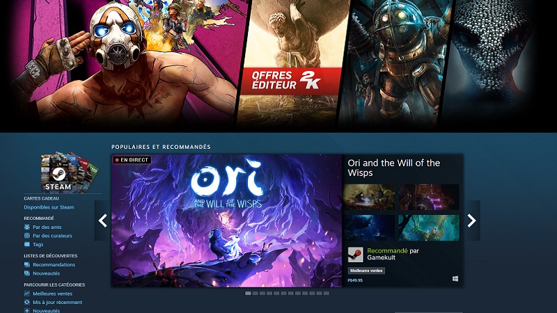 steam record joueurs