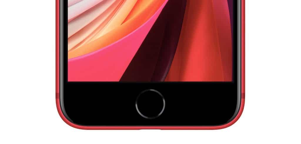 Image 6 : iPhone SE 2020 : date de sortie, prix, caractéristiques