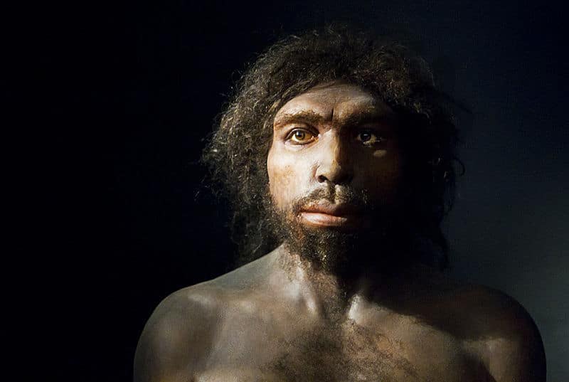 Image 1 : 800 000 ans après, un fossile humain dévoile ses secrets génétiques