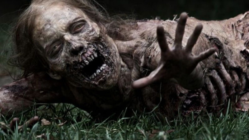 Image 1 : The Walking Dead : l'auteur a menti et n'a pas révélé l'origine de l'infection