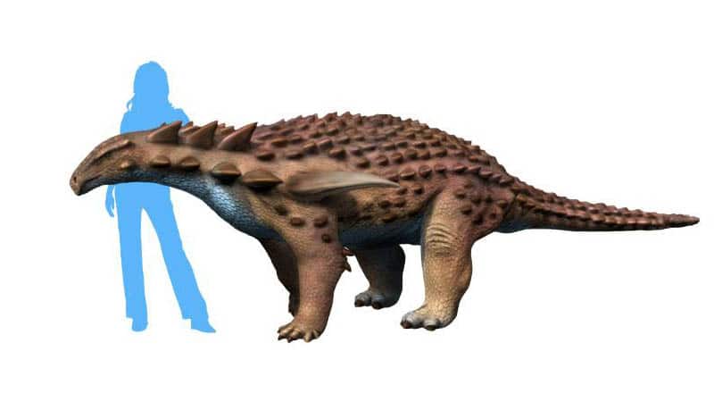 Dinosaure Borealopelta Markmitchelli