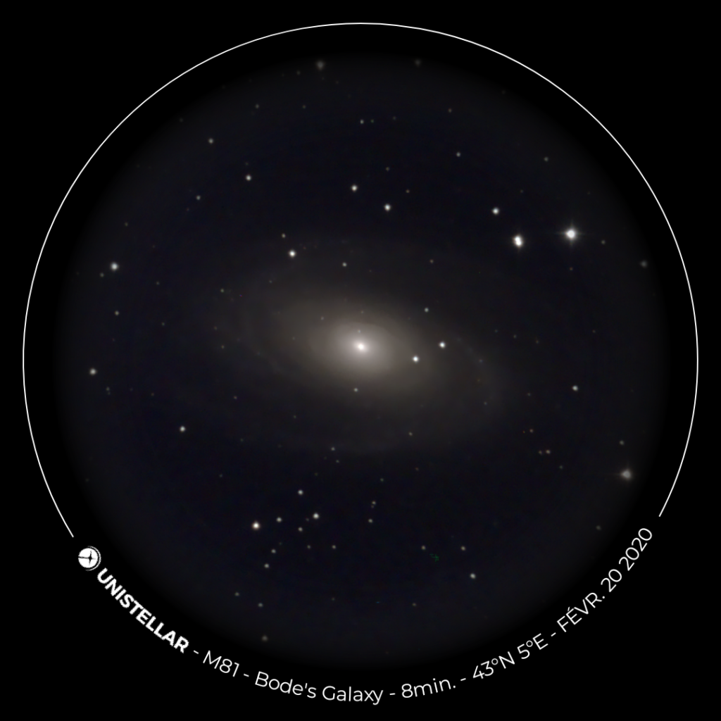 M81