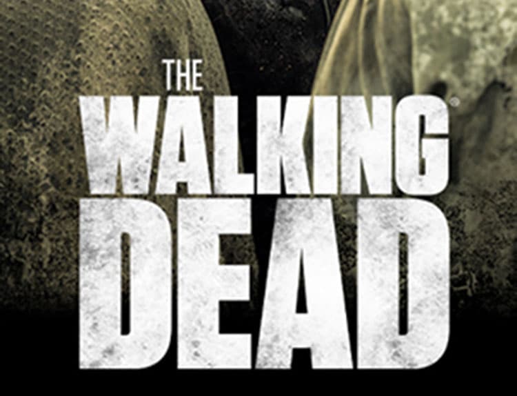 Affiche The Walking Dead