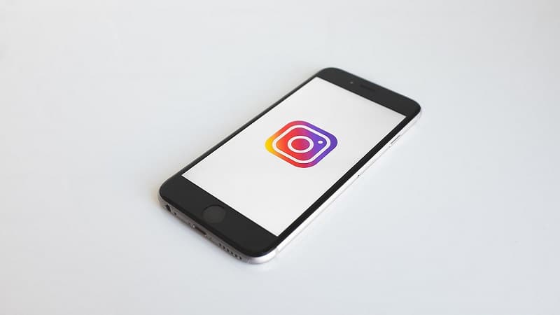 instagram bug