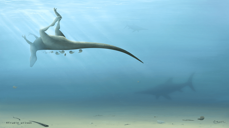 Image 1 : Un nouveau dinosaure proche du T-Rex a été découvert