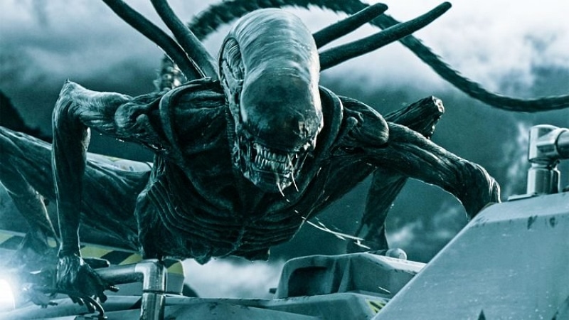 Un Xénomorphe dans le film Alien : Covenant. 