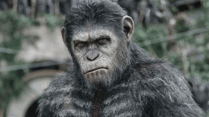 La Planète des Singes - 20th Century Fox