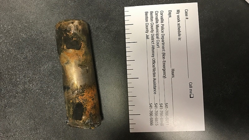 L'une des cellules de la batterie de la Tesla Model 3 accidentée