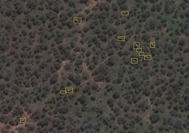 L'algorithme de deep learning détecte les éléphants sur les images satellite
