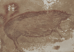 Peinture rupestre d'un cochon vieille de 45 500 ans