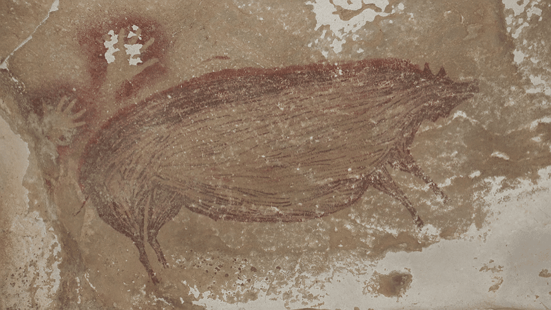 Peinture rupestre d'un cochon vieille de 45 500 ans - Maxime Aubert