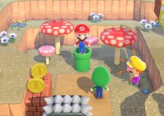 animal crossing new horizons tuyaux super mario bros