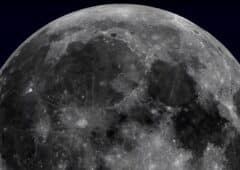 adn 6 7 millions especes lune