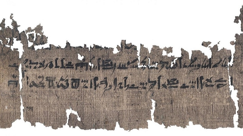 Une partie du Papyrus Louvre-Carlsberg sur les gonflements de la peau