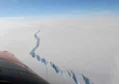 iceberg antarctique detache banquise
