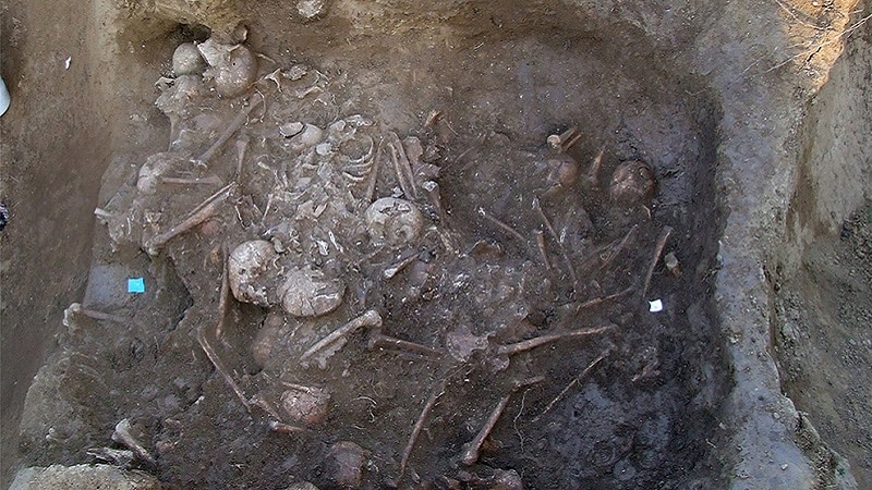Des squelettes de la tombe commune du massacre préhistorique