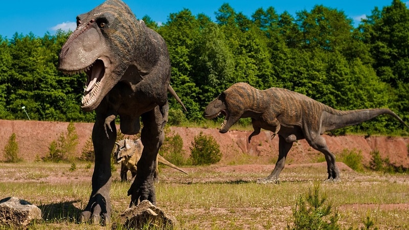 Image 1 : Construire un vrai Jurassic Park, c’est possible, affirme Neuralink