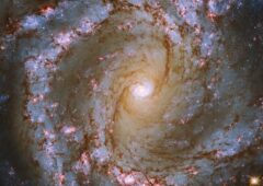 Galaxie M61