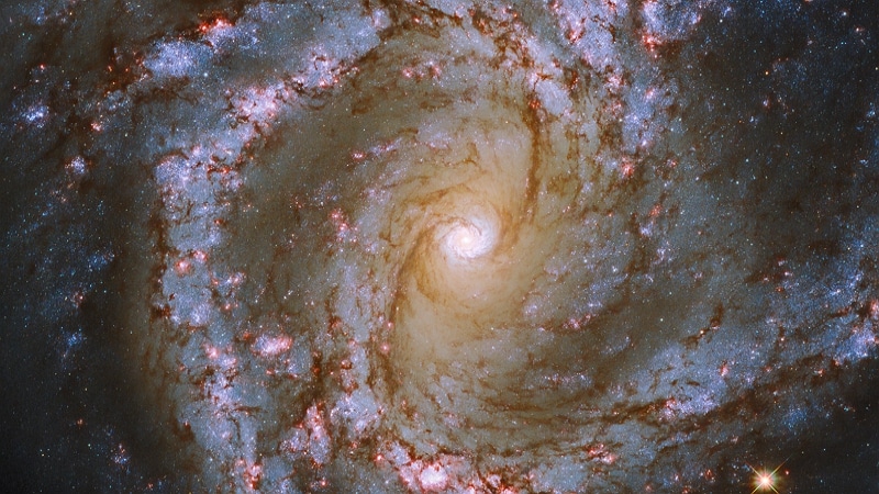 Galaxie M61 - Crédit : ESA/Hubble & NASA, ESO, J. Lee et PHANGS-HST Team